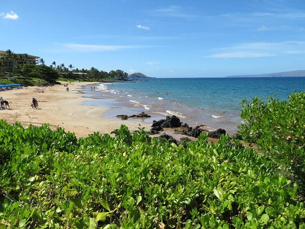 Visiting Maui in Summer 2018? Don’t Miss Out on the Best Beaches!